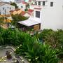 Горящие туры в отель Banana Garden Villa - 2
