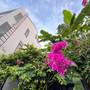 Горящие туры в отель Banana Garden Villa - 1