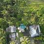 Горящие туры в отель Aventus Resort Ubud - 4
