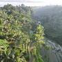 Горящие туры в отель Aventus Resort Ubud - 5