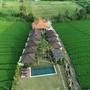 Горящие туры в отель Villa Alisha Pererenan Canggu - 1