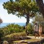 Горящие туры в отель Isabella Island Villas - 2