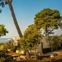 Горящие туры в отель Isabella Island Villas - 3