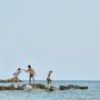 Горящие туры в отель Avali, Mar-Bella Collection - 3