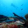 Горящие туры в отель Manta Reserve - 4
