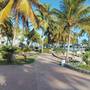 Горящие туры в отель Hotel Camino Del Mar - 3