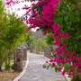 Горящие туры в отель Jebel Shams Resort, Al Hamra - 2