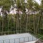 Горящие туры в отель Buxus Hotel Shekvetili - 6