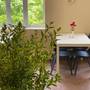 Горящие туры в отель Buxus Hotel Shekvetili - 4