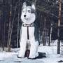 Горящие туры в отель Husky Moa (Дом Хаски и Дом Полярника) - 5