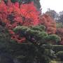 Горящие туры в отель Ryokan Yamazaki - 5