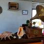 Горящие туры в отель Cocolagoon Eco Resort Nilaveli - 2