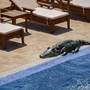 Горящие туры в отель SPA-Hotel Grace Aqua Villa (Грейс Аква Вилла) - 5