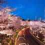 Горящие туры в отель Mimaru Tokyo Akasaka - 4