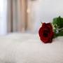 Горящие туры в отель Petit Palace Suites Hotel - 4