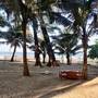 Горящие туры в отель Silent Resort - 2