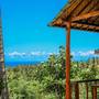 Горящие туры в отель Atuh Forest Cottage - 5