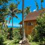 Горящие туры в отель Atuh Forest Cottage - 4
