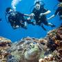 Горящие туры в отель Coconut Garden Resort - 5
