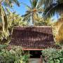 Горящие туры в отель Coconut Garden Resort - 1