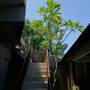 Горящие туры в отель Gili Inn - 6