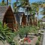 Горящие туры в отель Manta Dive Gili Trawangan Resort - 1