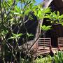 Горящие туры в отель Melati Cottage - 1