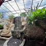 Горящие туры в отель Sejuk Cottages - 6