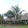 Горящие туры в отель Kobe Bungalows Nungwi - 1
