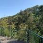 Горящие туры в отель Kvariati Villa, Sea & Mountains - 3