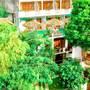 Горящие туры в отель Mirissa Beach Inn - 1