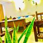 Горящие туры в отель Mirissa Beach Inn - 5