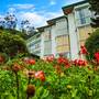 Горящие туры в отель Oak Ray Summer Hill Breeze - 5