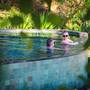 Горящие туры в отель The Seraya Resort Komodo - 2