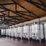 Горящие туры в отель Chateau Mosmieri Hotel & Winery - 6