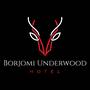 Горящие туры в отель Borjomi UnderWood Hotel - 3