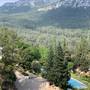 Горящие туры в отель Trinitys Forest Bungalows in Mountain - 3