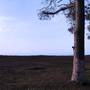 Горящие туры в отель Simple Pleasures Shekvetili Hotel - 5