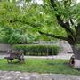 Горящие туры в отель Boutique hotel Chateau Fort de Manavi - 6