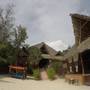 Горящие туры в отель Mano Kendwa Beach - 1