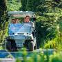 Горящие туры в отель Green Park Yalta-Intourist - 1