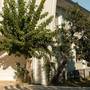 Горящие туры в отель Raw Beach Hotel - 6
