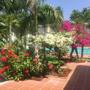 Горящие туры в отель Areca Resort Cay Cau - 2
