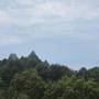 Горящие туры в отель Gia Thanh Phu Quoc Guest House - 6