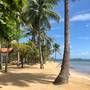 Горящие туры в отель Peppercorn Beach Resort - 3