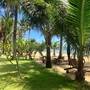 Горящие туры в отель Peppercorn Beach Resort - 6