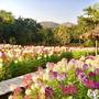 Горящие туры в отель Sibsan Resort & Spa Maetaeng - 1