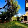 Горящие туры в отель Villa Siesta Hotel - 3