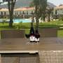 Горящие туры в отель Orka Village Complex, Hisaronu - 3