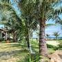 Горящие туры в отель Phu Quoc Dumbo Bungalow - 6